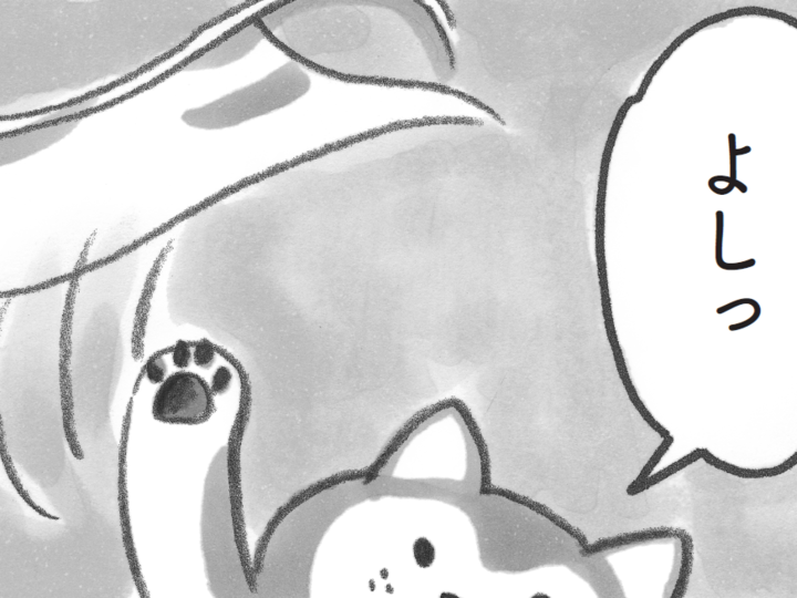 柴犬らしいことしたら…、今日も元気に過ごせそう。【柴犬食堂#11】