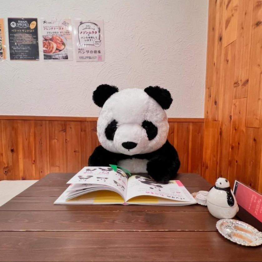 時々・・・・勉強してるようなので、その時はお静かにWWW