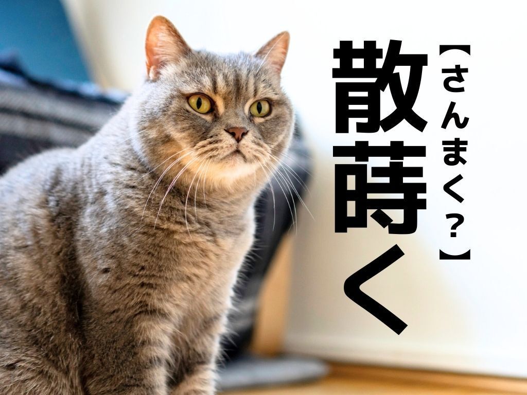 【散蒔く】は「さんまく」ではありません。答えを知ると…へ～！が止まらない【読めそうで読めない漢字クイズ】