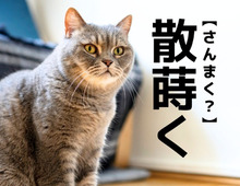 【散蒔く】は「さんまく」ではありません。答えを知ると…へ～！が止まらない【読めそうで読めない漢字クイズ】