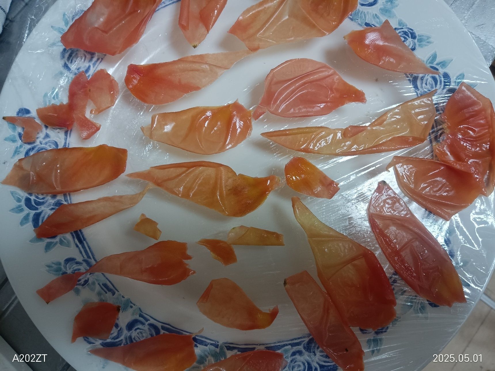 皮のクリスピー