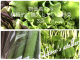 【物価高の今、積極的に購入している3種類の野菜】共通点に気付けますか？