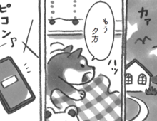 しっかり休んだら…。海辺の町の秋が、ゆっくり深まっていきます。【柴犬食堂#22】