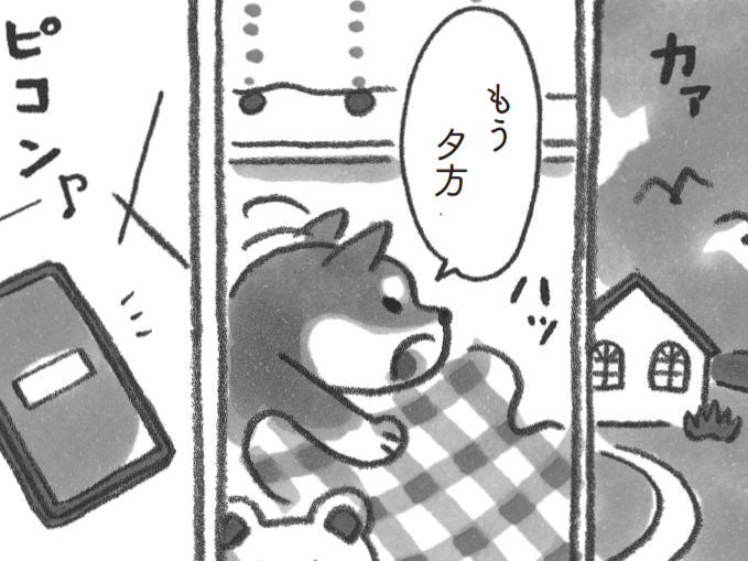 しっかり休んだら…。海辺の町の秋が、ゆっくり深まっていきます。【柴犬食堂#22】