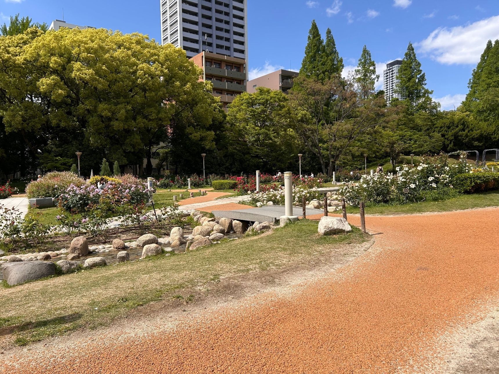 バラ園中央から見たところ