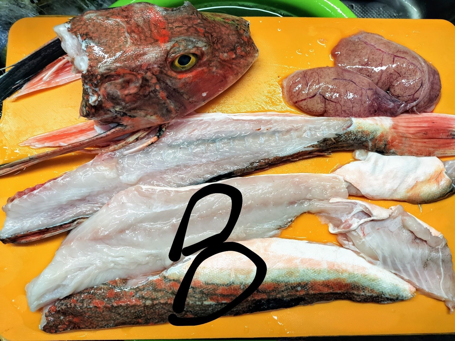 3、黒線で囲んだ部分を食べやすい大きさに切る→お鍋に、切ったホウボウと材料●を入れる→ホウボウが浸るくらいの日本酒を注ぐ→中火で煮詰める