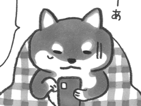 「あーあ、断っちゃった…」。さくらちゃんに悪いかな~…【柴犬食堂#21】