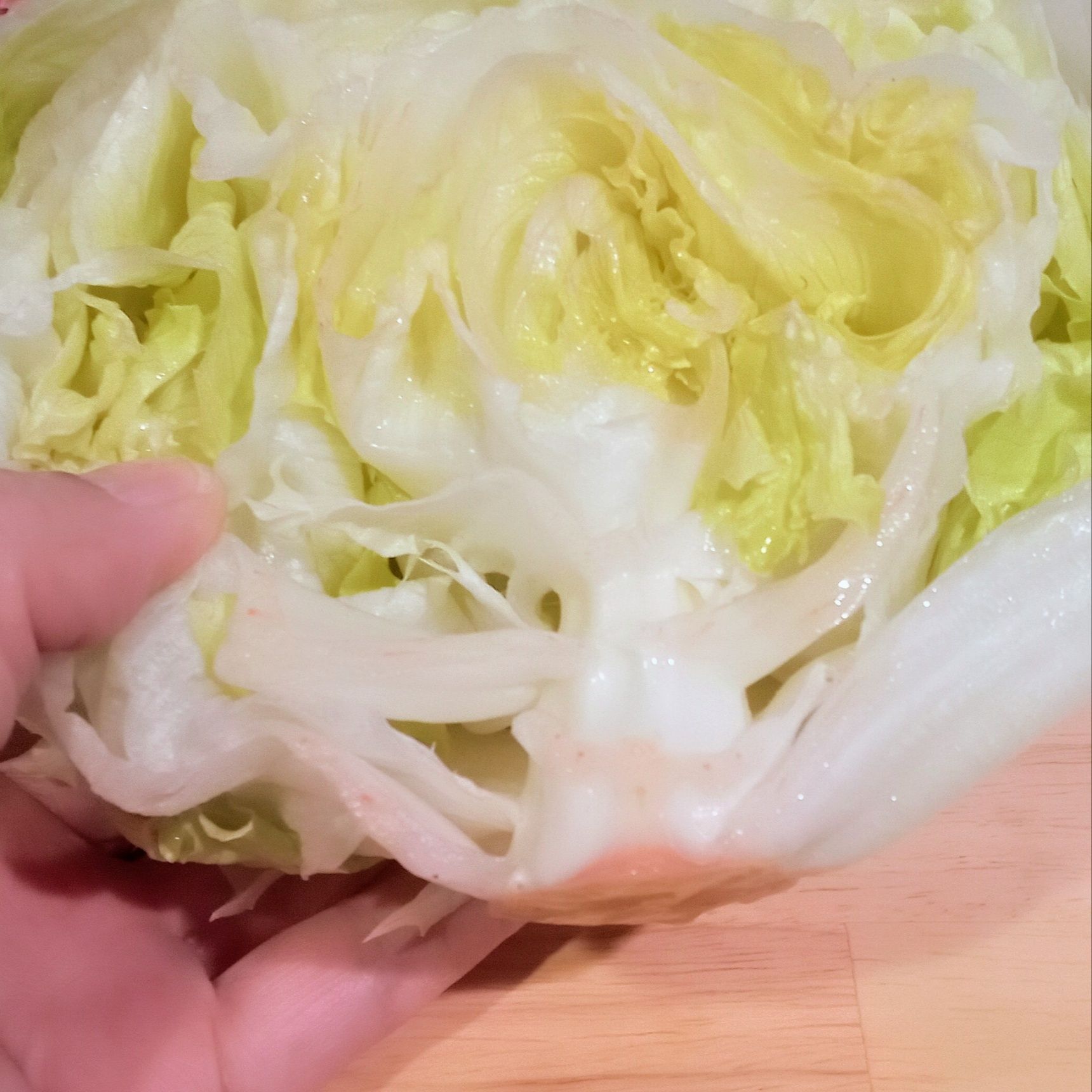 茎の部分の変色も前日と変わらず、少しの変色