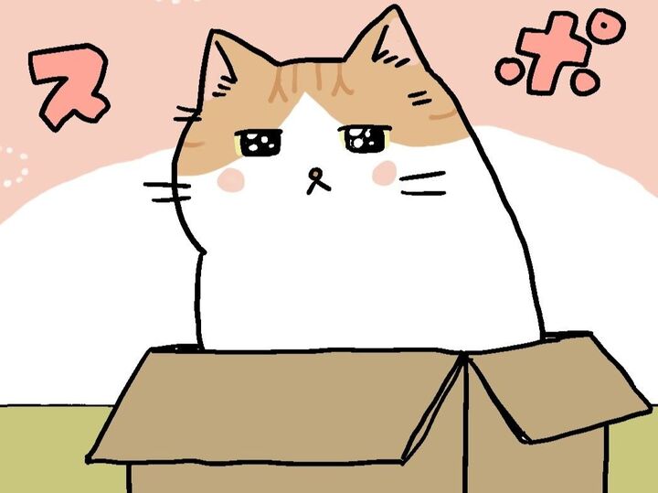 そこに箱があるから。【てらねこミー子の日常】
