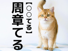 【周章てる】なんて読む？「シュウショウテル」ではありませんよ！【読めそうで読めない漢字クイズ】