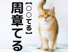 【周章てる】なんて読む？「シュウショウテル」ではありませんよ！【読めそうで読めない漢字クイズ】