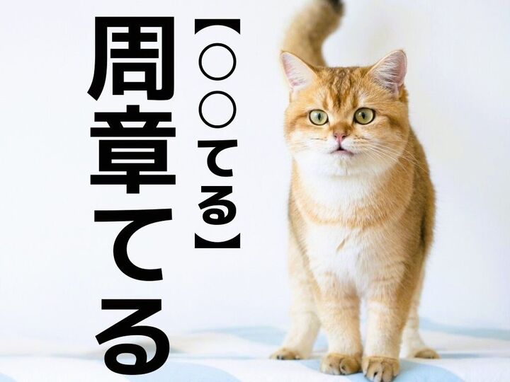 【周章てる】なんて読む?「シュウショウテル」ではありませんよ!【読めそうで読めない漢字クイズ】