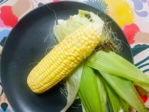 季節到来〈ゴールドラッシュ〉。糖度は驚愕の「18度」