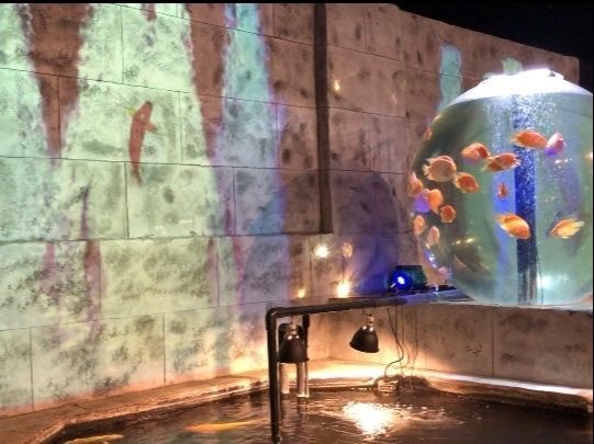 水槽とプロジェクションマッピングのコラボも素晴らしい
