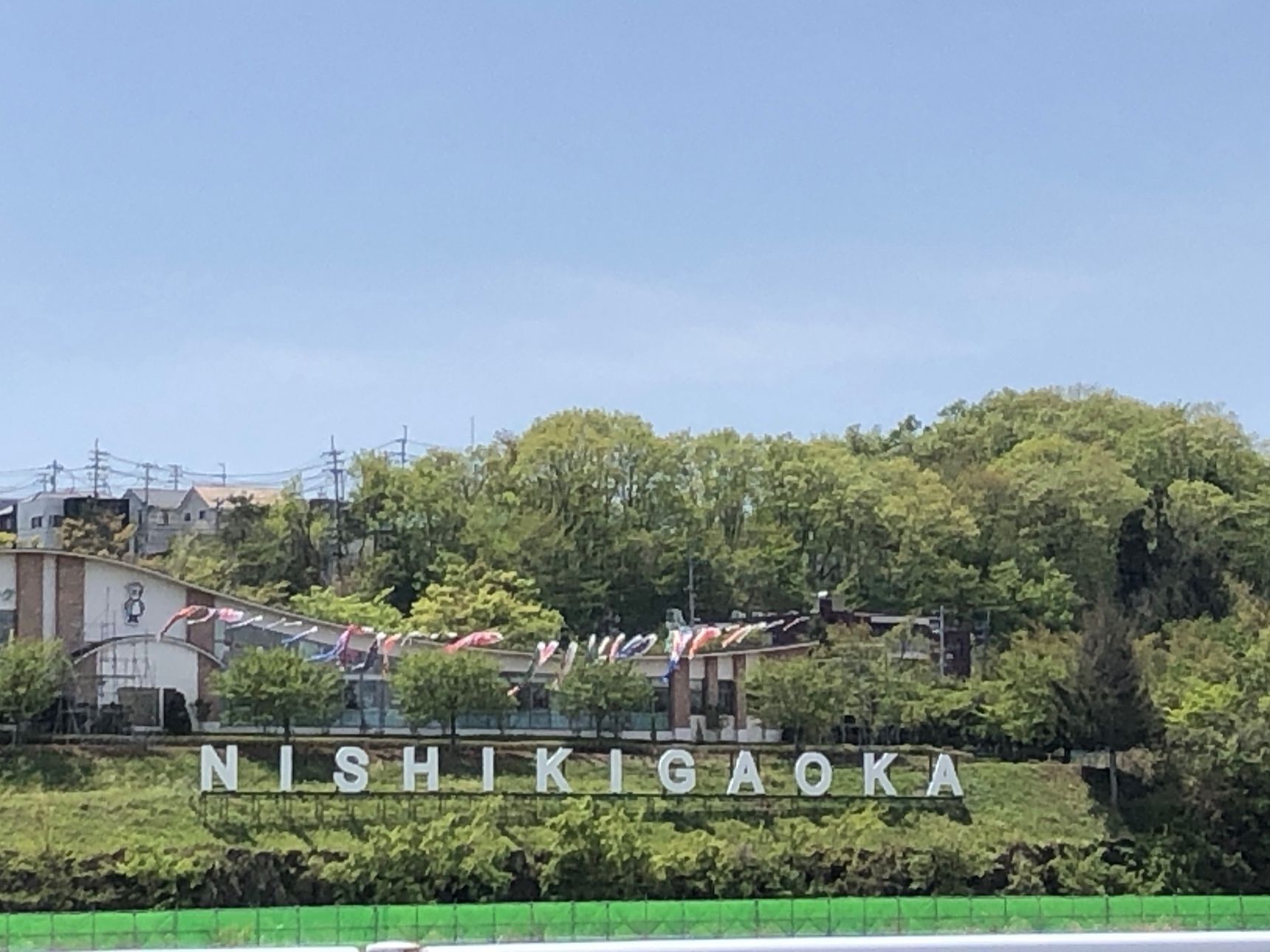 たくさんの鯉のぼりがお出迎え