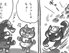「土をかくんじゃない！！」今日はみんなで山へ行きます【柴犬食堂#27】