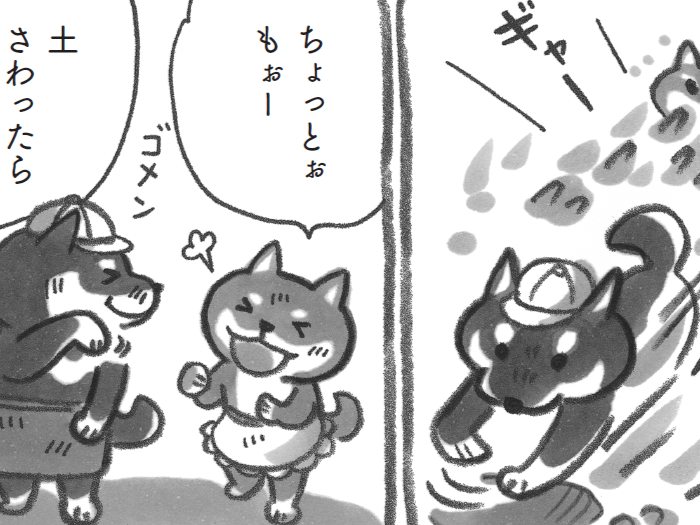 「土をかくんじゃない!!」今日はみんなで山へ行きます【柴犬食堂#27】