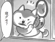 「よっこらしょ」お店が始まるまでに寝グセを直して…と。【柴犬食堂#29】