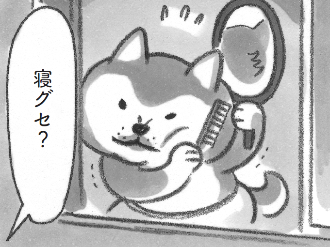 「よっこらしょ」お店が始まるまでに寝グセを直して…と。【柴犬食堂#29】