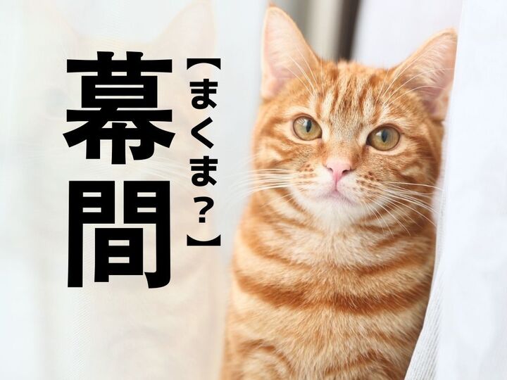 【幕間】は「まくま」ではありません!正しい読み方知ってる?歌舞伎好きなら一発で答えられるかも!?|漢字クイズ
