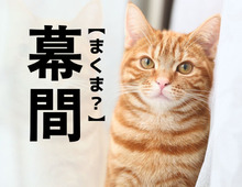 【幕間】を「まくま」と読んだら笑われる！？【読めないと恥ずかしい漢字クイズ】