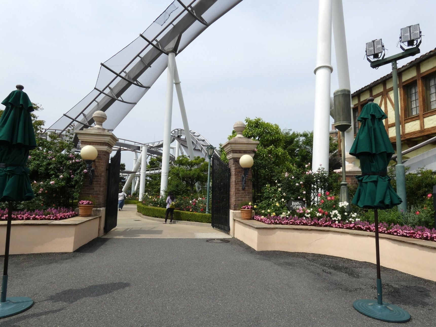 USJの中にバラ園があるのを、ご存じですか？？