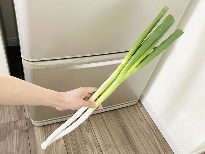 使いかけのネギが冷蔵庫でにおう…。「夏にゼッタイある容器」に入れてみた結果→すぐに解決〜！！
