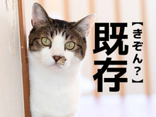 【既存】は「きぞん」とは読まない！？正しい読み方知っていますか？【読めそうで読めない漢字クイズ】