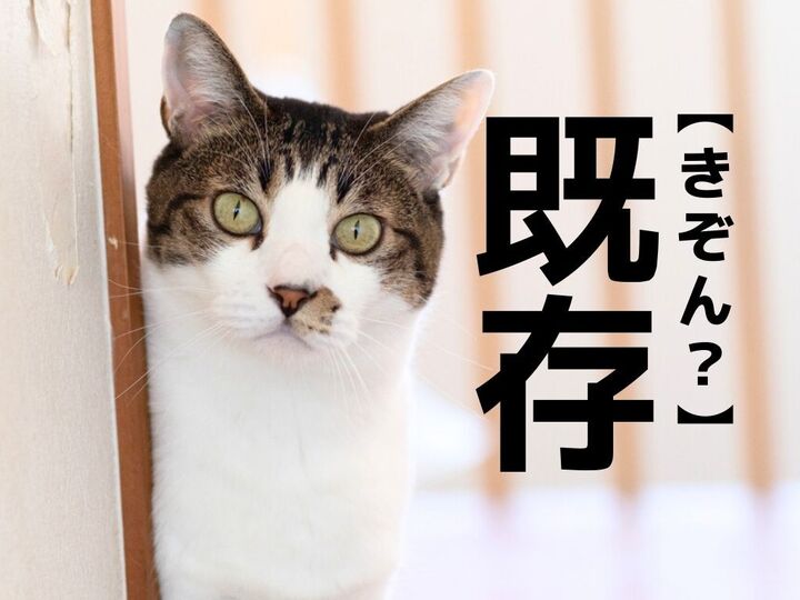 【既存】は「きぞん」とは読まない!?正しい読み方知っていますか?【読めそうで読めない漢字クイズ】