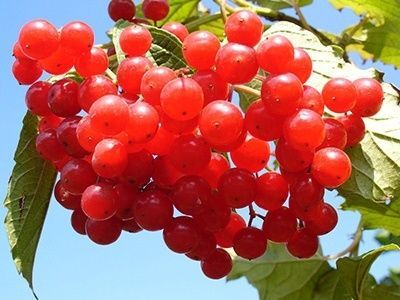 7.まとめ