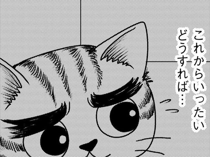 明らかになった娘の真実。悲しみにくれる夫に、妻がかけた言葉とは…【家族もうつを甘くみてました#4】