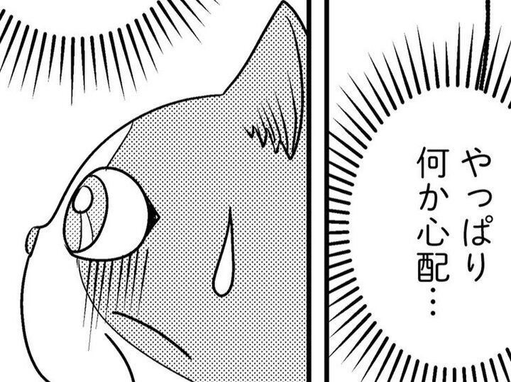 頼りになる友人からのアドバイス。ホッとしたのもつかの間、不安がどんどん膨らんできて…【家族もうつを甘くみてました#5】