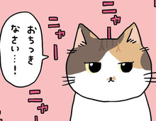 ねこたちが待ちきれないもの。【てらねこミー子の日常】