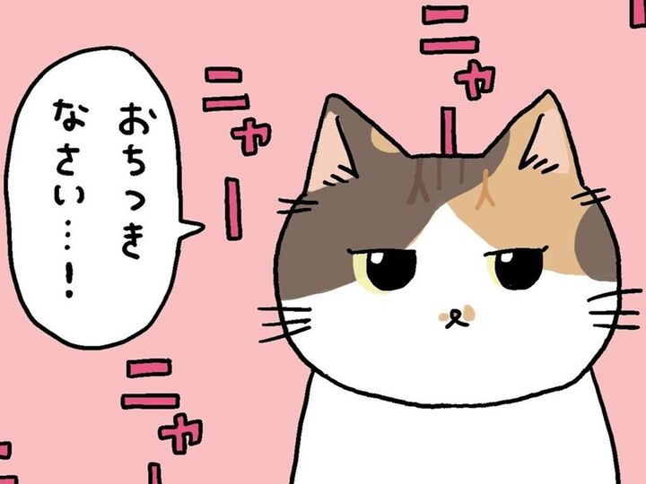 ねこたちが待ちきれないもの。【てらねこミー子の日常】