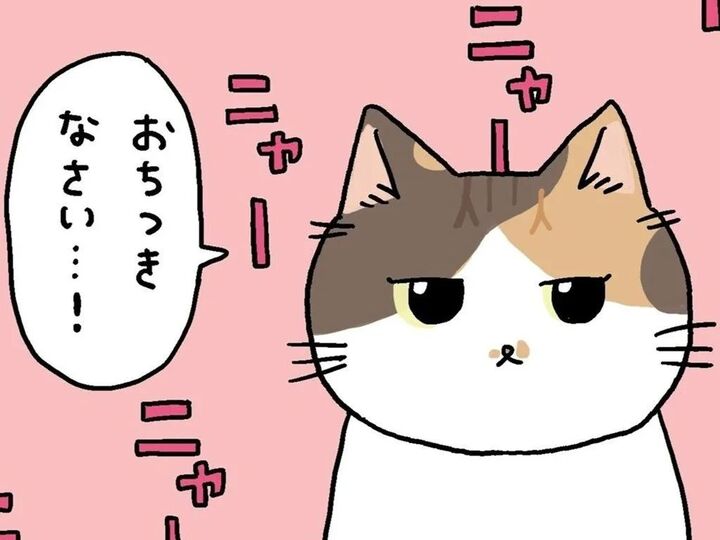 ねこたちが待ちきれないもの。【てらねこミー子の日常】