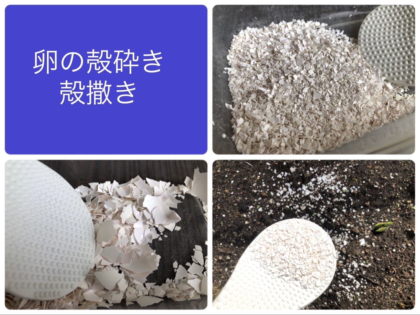 1　卵の殻砕き、殻撒き