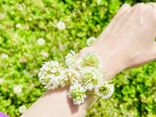 茎が短くて飾れない草花の活用法！花瓶なしでも楽しめる「草花ブレスレット」って？