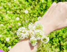 茎が短くて飾れない草花の活用法！花瓶なしでも楽しめる「草花ブレスレット」って？