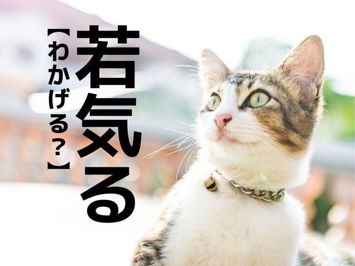 【若気る】なんて読む?「わかげる」…ではありませんよ!一発で読めたらスゴすぎです|難読漢字クイズ