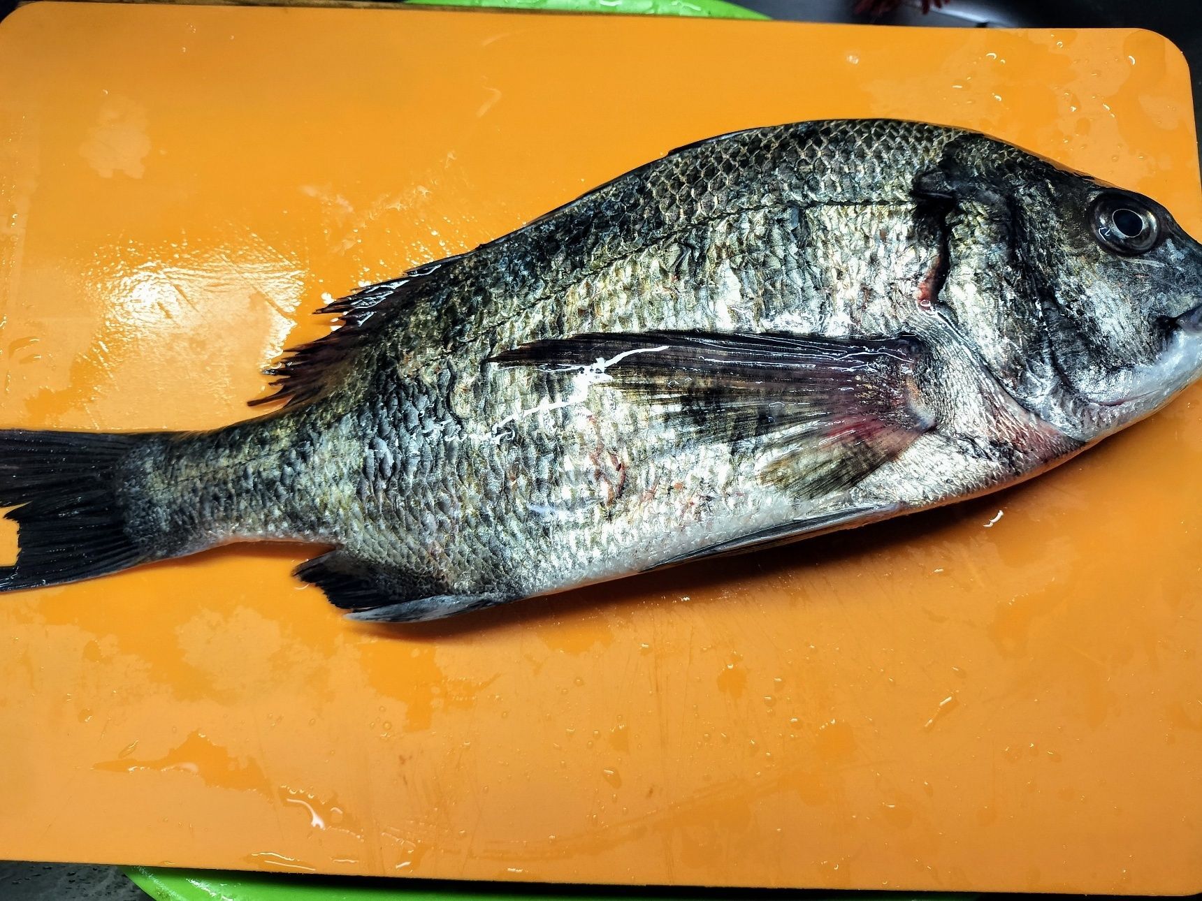 1．黒鯛のウロコと内臓を綺麗に取り除く→流水で綺麗に洗う→水気を拭き取る