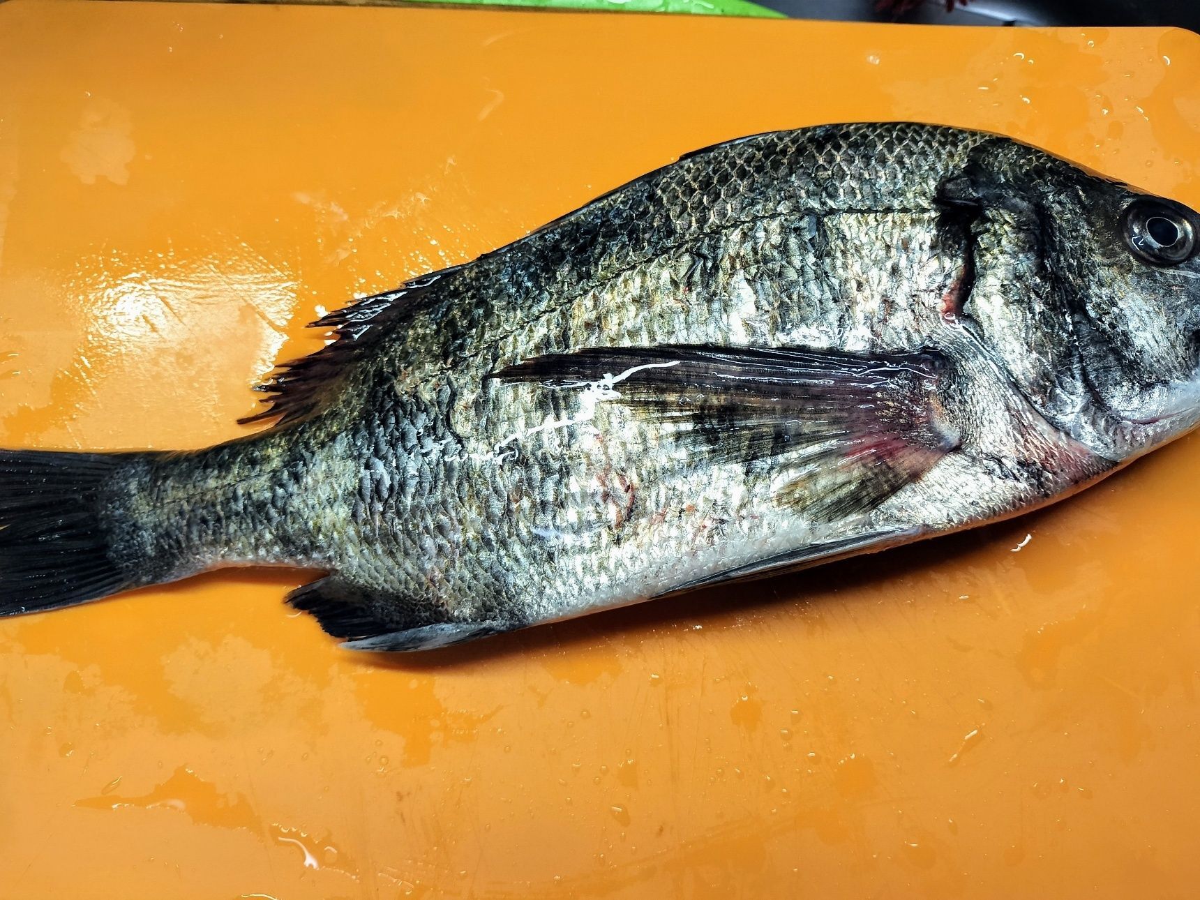 塩麹漬け！黒鯛まるごと焼き魚！皮まで美味しいしっとり食感の焼き魚！さっぱり混ぜご飯にも合う〜！