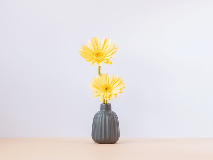 6月3日(火)今日は「何をやってもツキまくり!」のトリプルラッキーデー。絶対やったほうがいいことは?