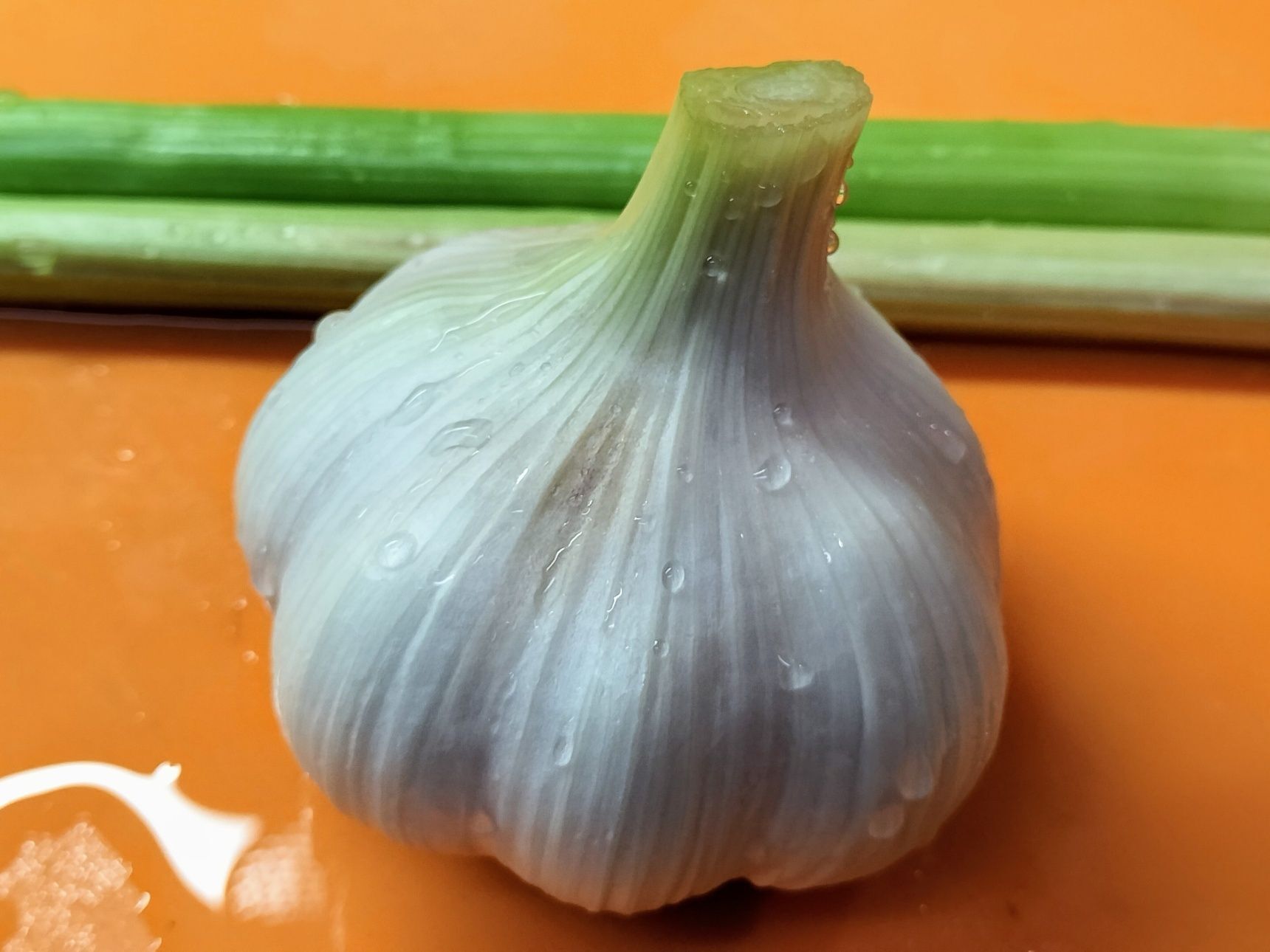 手順3