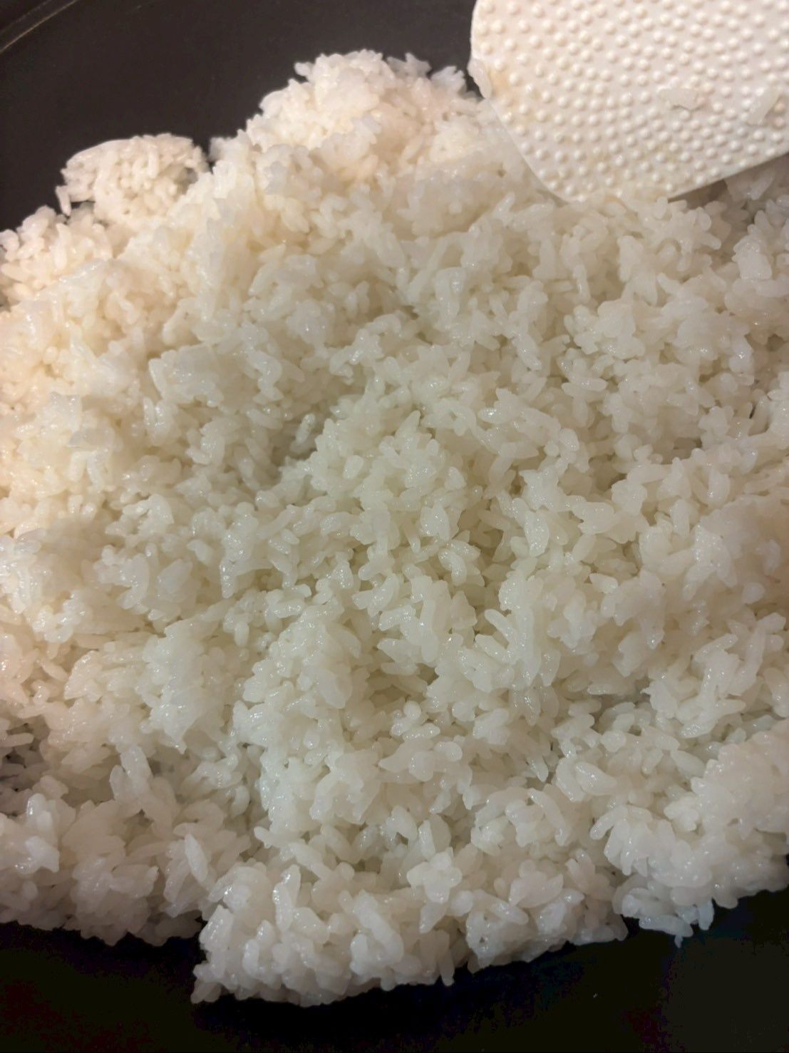 ご飯を平らに敷いたら具材はお好きなように並べてください。