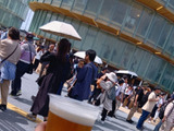 関西万博で楽しむ大人の一杯！世界最古の黄金色ラガー、チェコビールの魅力に酔いしれて