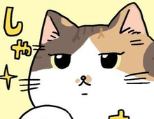 ミー子、ひと仕事する。【てらねこミー子の日常】