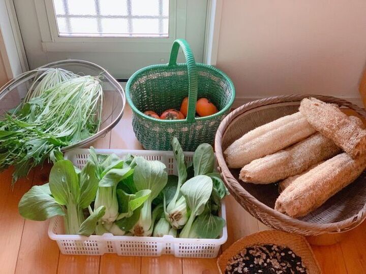 お家のとなりに『畑』を作ってみたら⇨嬉しいことたくさんありました!憧れの暮らしの第一歩。