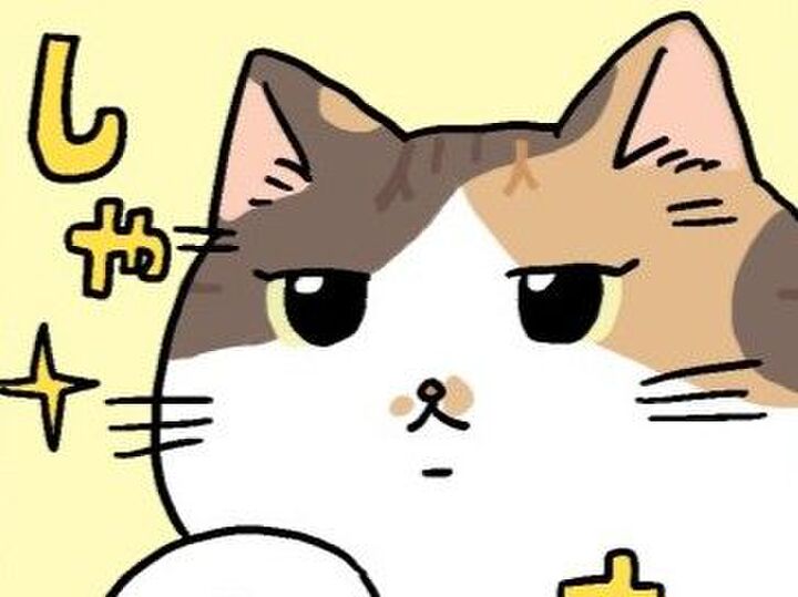 ミー子、ひと仕事する。【てらねこミー子の日常】