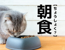 【朝食】は「ちょうしょく」以外の読み方がある！？まさかそう読むなんて…【意外と知らない漢字クイズ】