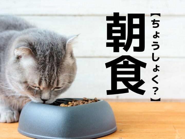 【朝食】は「ちょうしょく」以外の読み方がある!?まさかそう読むなんて…【意外と知らない漢字クイズ】